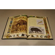 Настольная книга охотника — книга для мужчины — оригинальный подарок — фотография 4