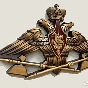 Резной герб МТО ВС РФ из бука — оригинальный подарок — фотография 2