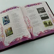 На память: Книга "Серебряный Век Русской поэзии " — фотография 3