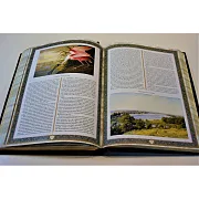 Русская охота. Исторический очерк — книга для мужчины — красивый подарок — фотография 6